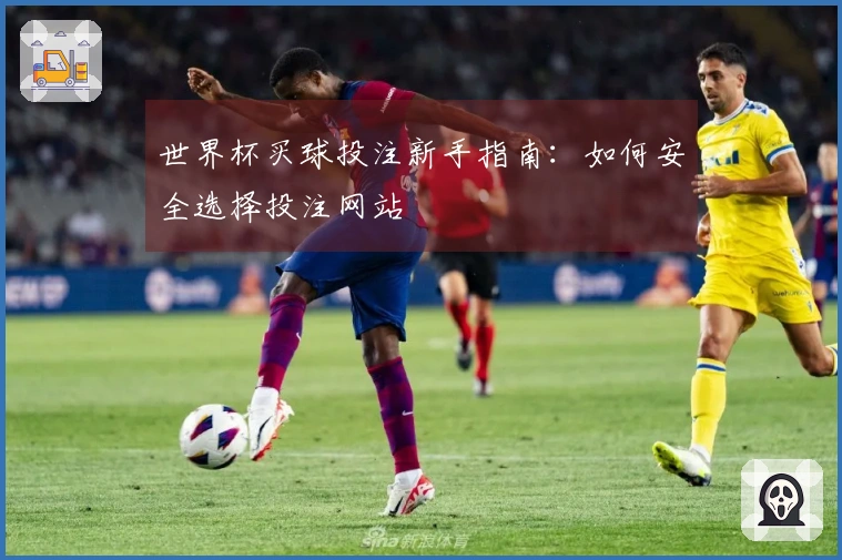 世界杯买球投注新手指南：如何安全选择投注网站