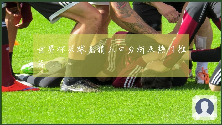 世界杯买球竞猜入口分析及热门推荐