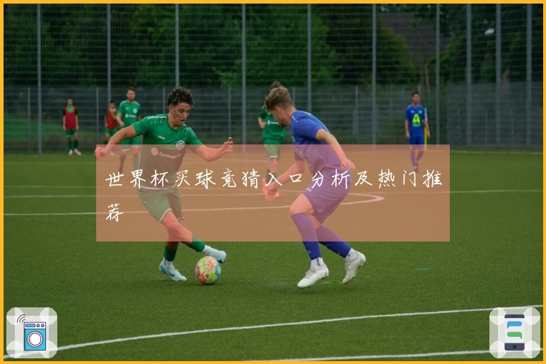 世界杯买球竞猜入口分析及热门推荐