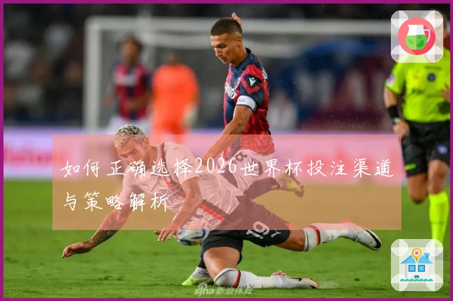 如何正确选择2026世界杯投注渠道与策略解析