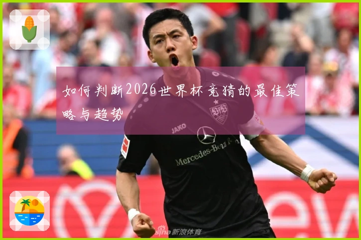 如何判断2026世界杯竞猜的最佳策略与趋势